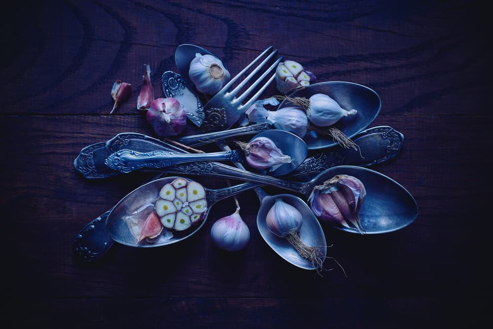 Garlic and Old Spoons by Karina Aleksandrova — canvas wall art