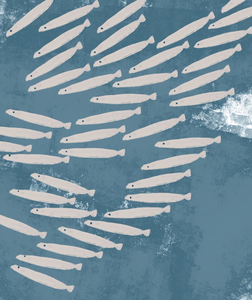 Flowing School of Fish by Josie George — canvas wall art