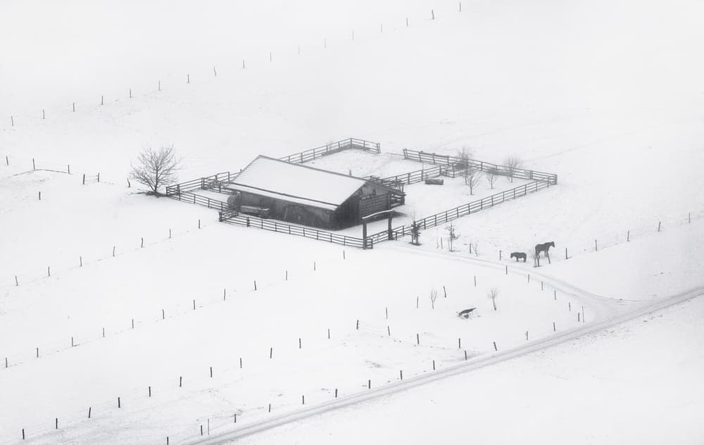 Snowy Winter Farm by Ales Krivec — canvas wall art