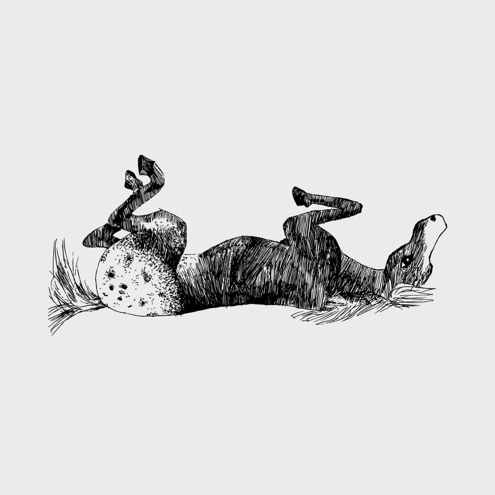 Happy Rolling Horse by Marika Barsrsind β canvas wall art