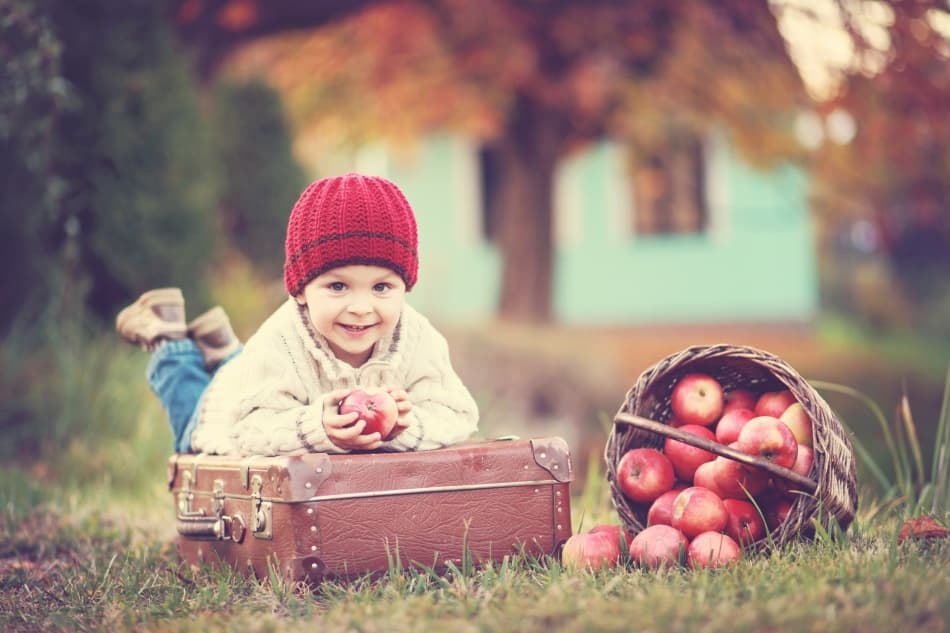 Autumn Apple Joy by Tatyana Tomsickova — canvas wall art