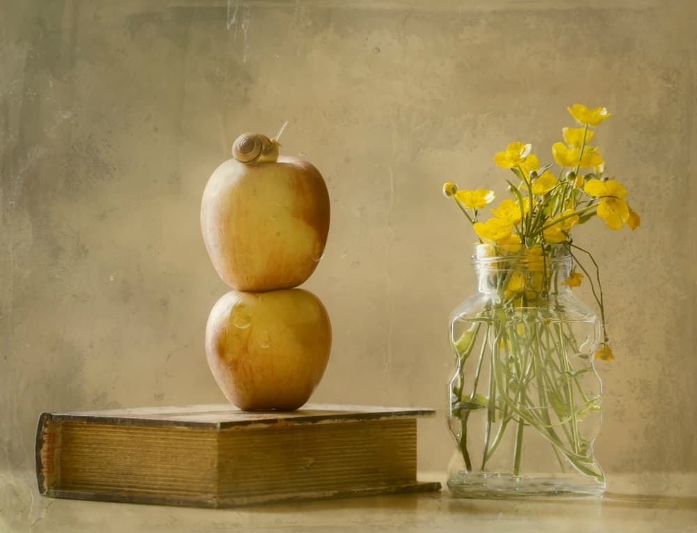 Snail On Stacked Apples by Delphine Devos — canvas wall art