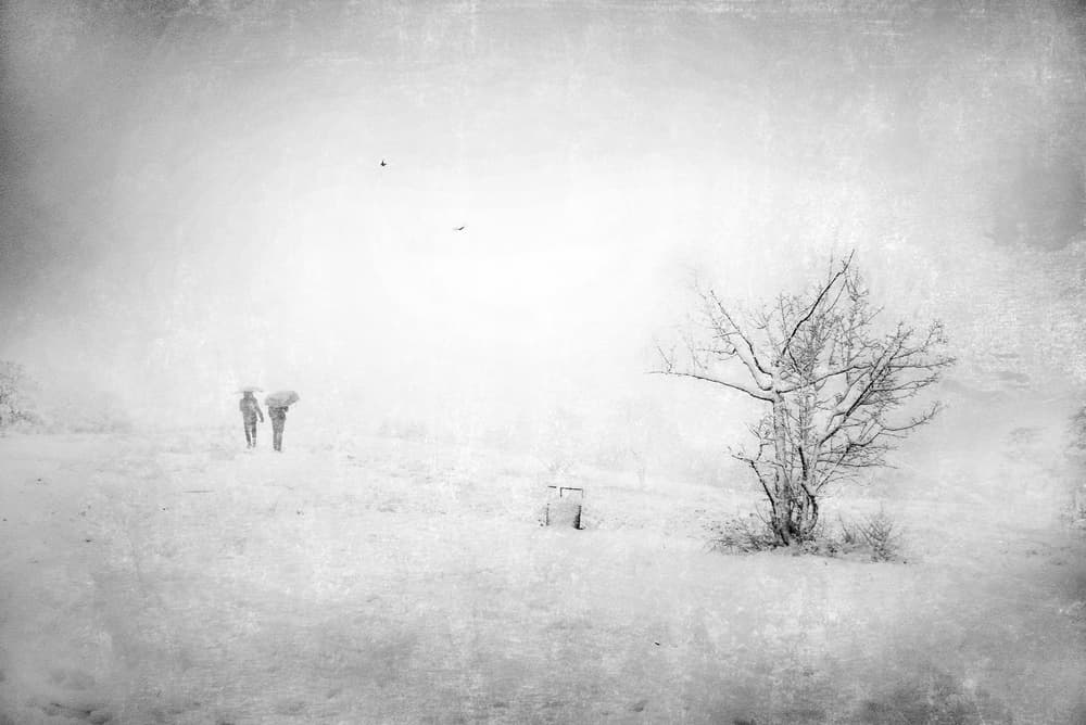 Snowy Winter Walk by Nicodemo Quaglia — canvas wall art