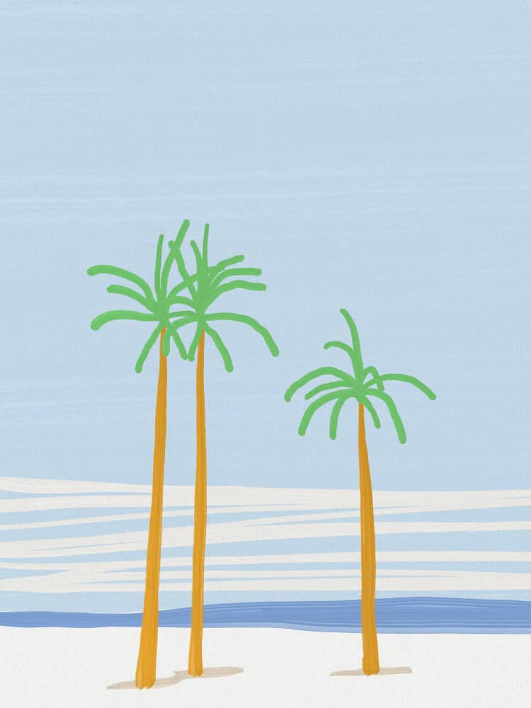 Tropical Beach Palms by Little Dean — canvas wall art