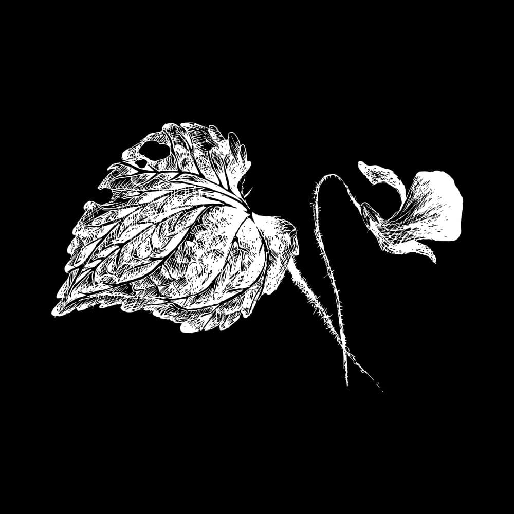 Delicate Leaf and Flower by Marika Barsrsind β canvas wall art