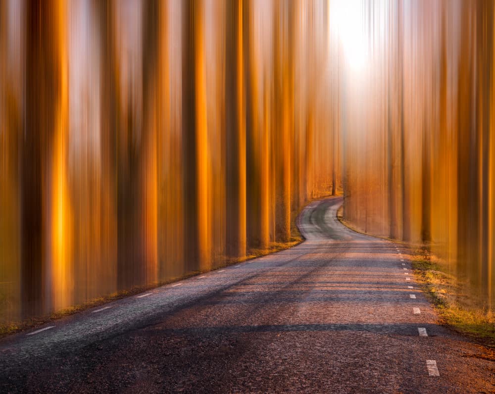 Winding Golden Path by Christian Lindsten — canvas wall art