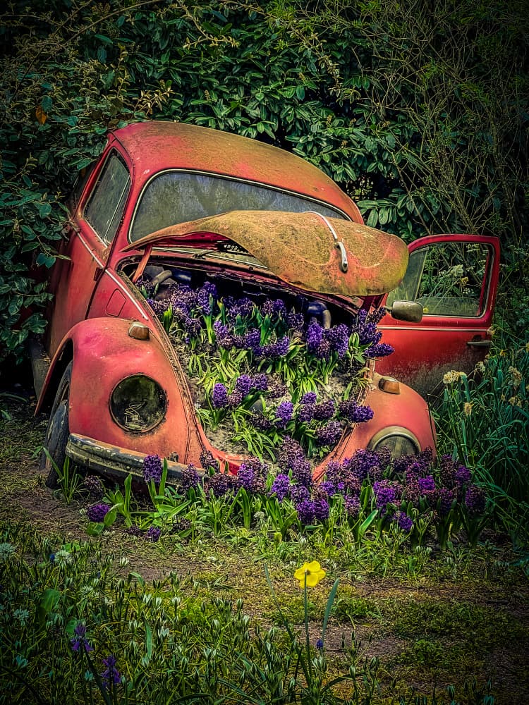 Vintage Beetle Blooms by Bernardine de Laat — canvas wall art