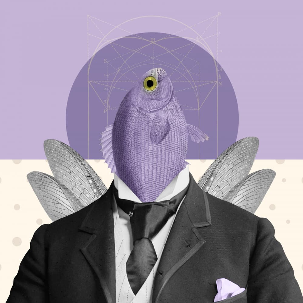 Dapper Winged Fish by Marja van den Hurk — canvas wall art