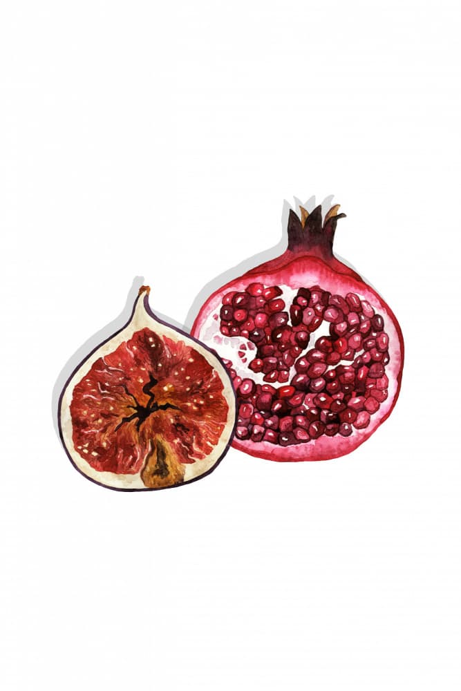 Cut Fig and Pomegranate by Karen Menzenbach — canvas wall art