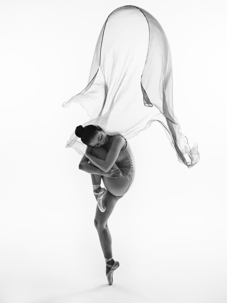 Graceful Ballerina Flow by Bingo Z — canvas wall art
