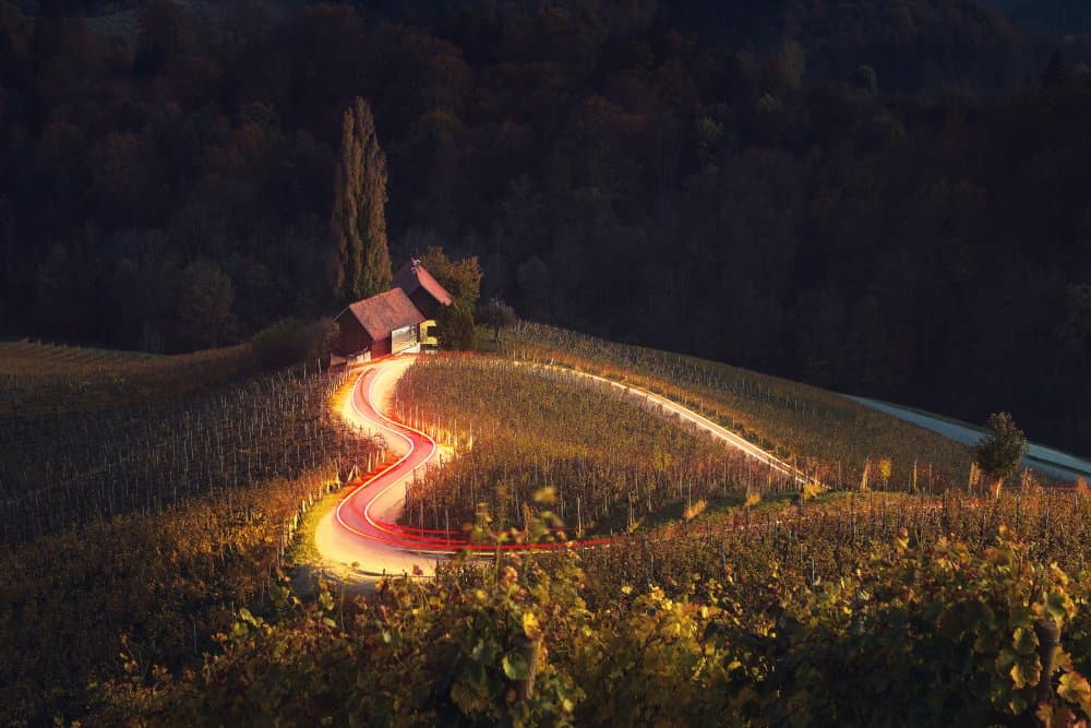 Night Vineyard Light Trails by Dmitry Kupratsevich — canvas wall art