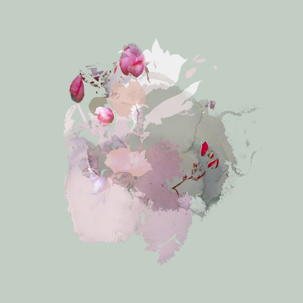 Abstract Pink Blossoms by Miriam Stayte — canvas wall art