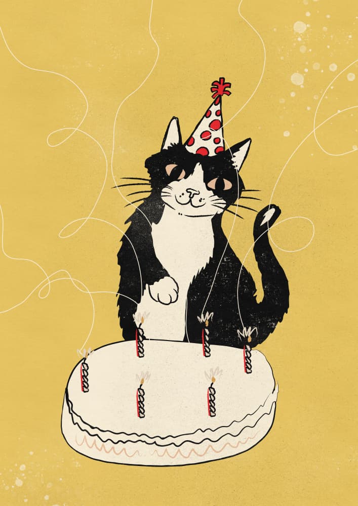 Happy Birthday Cat by Nicholas — canvas wall art