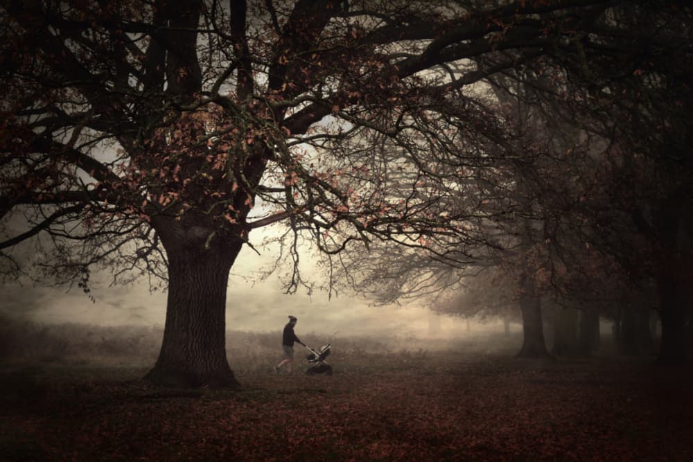 Misty Autumn Stroll by Robert Fabrowski — canvas wall art