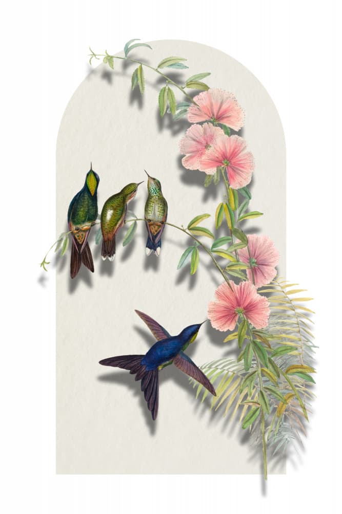 Tropical Hummingbirds and Blooms by Marja van den Hurk — canvas wall art