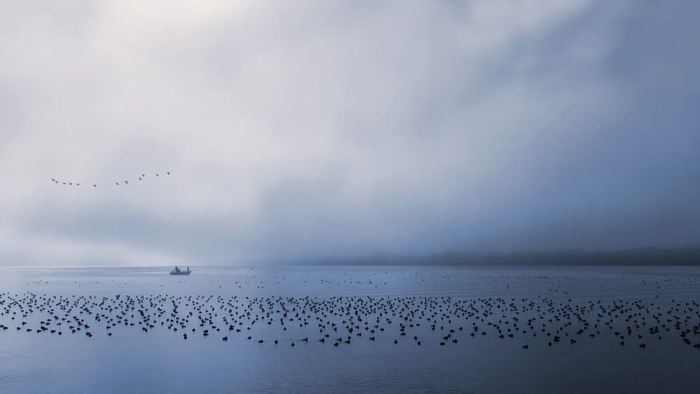 Misty Lake Boat And Birds by Uschi Hermann — canvas wall art