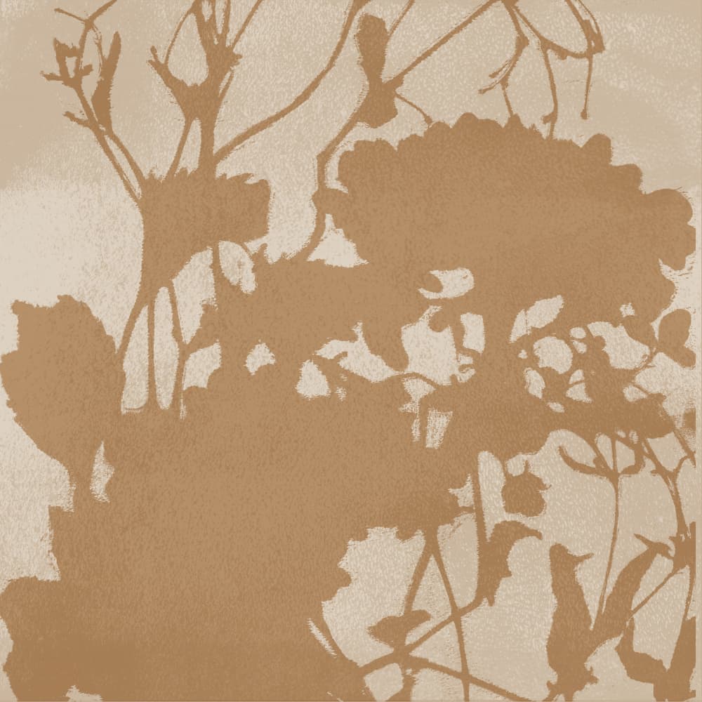 Subtle Botanical Silhouette by Dina Dankers — canvas wall art