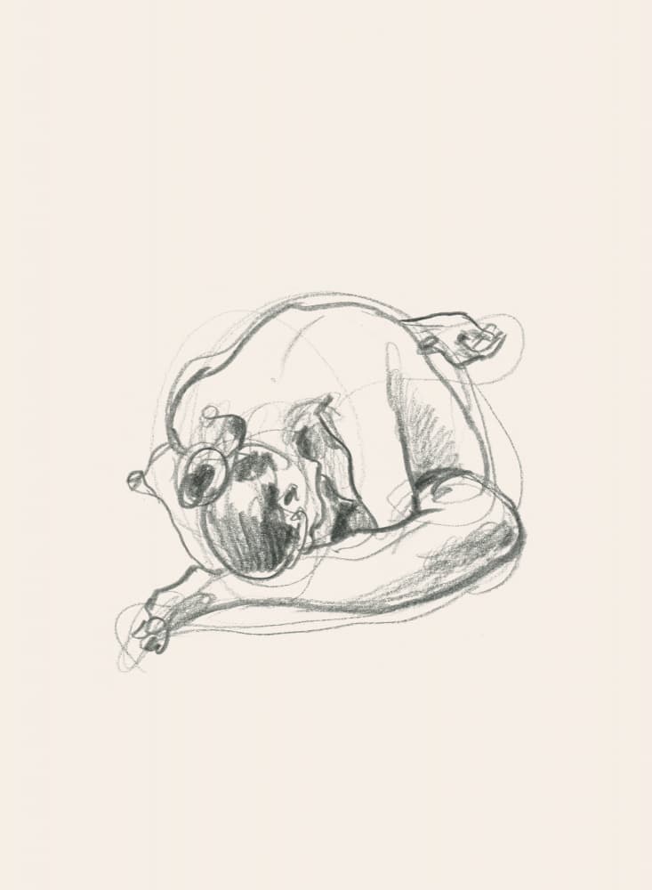 Quiet Curled Figure by Catalina Somolinos — canvas wall art