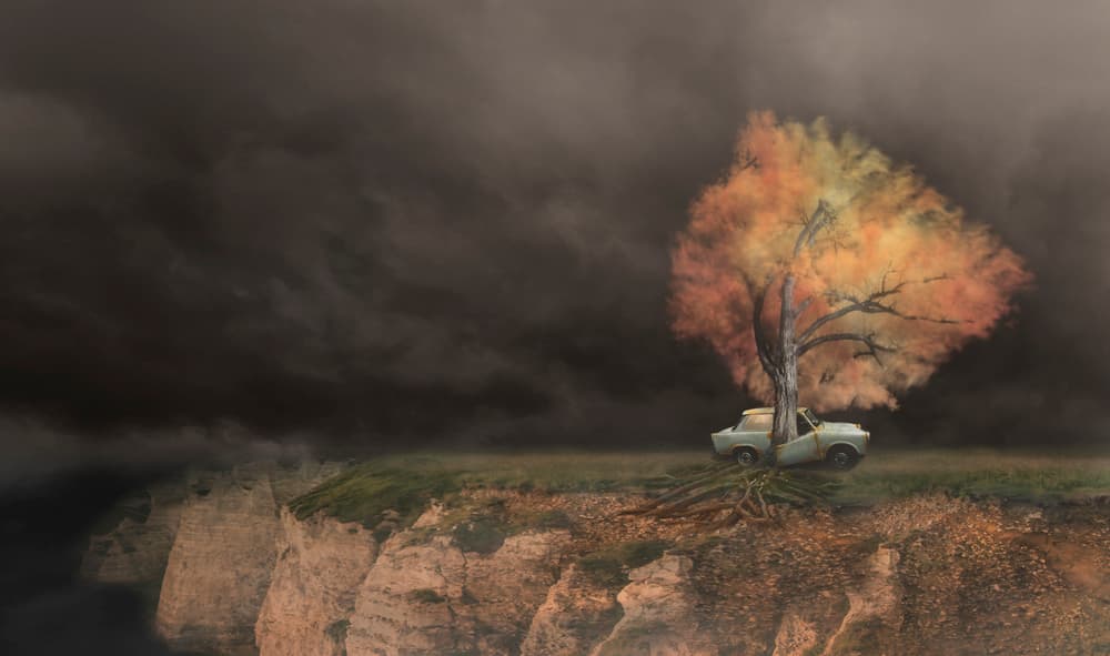 Autumn Tree Car Cliff by David Senechal Photographie (polydactyle) — canvas wall art