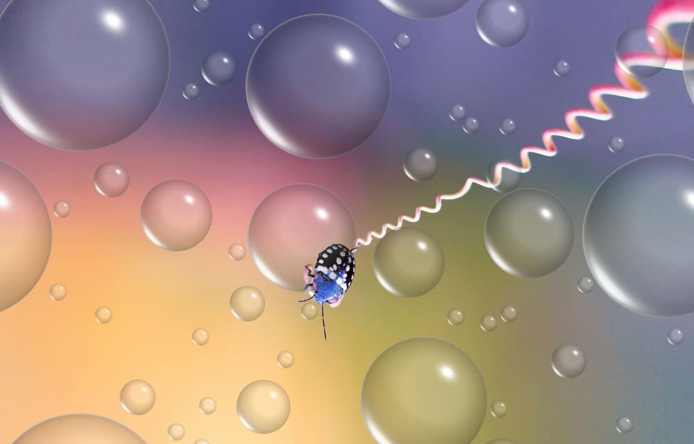 Blue Bug Bubble Trail by Thierry Dufour — canvas wall art