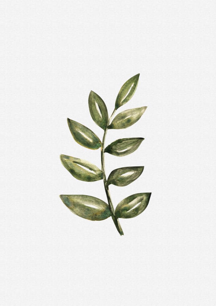 Delicate Green Foliage by Olena Kovalova — canvas wall art