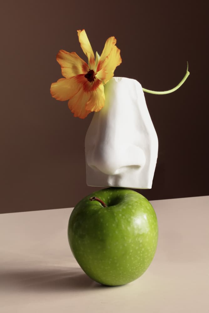Artful Nose And Apple by Julia Ramiro — canvas wall art