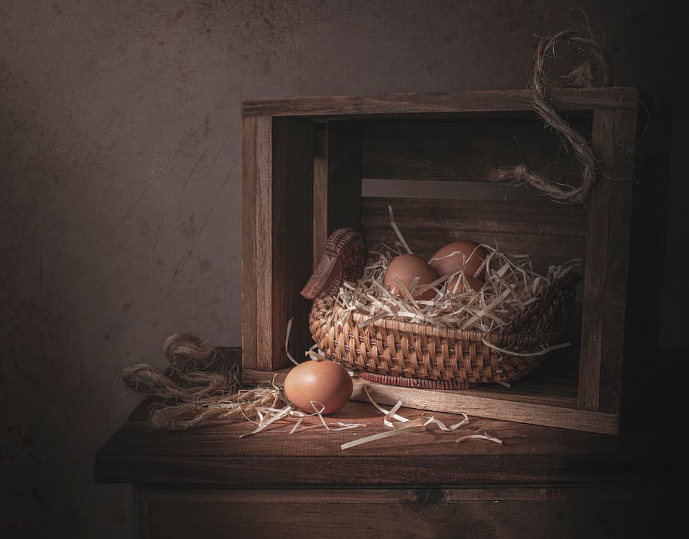 Rustic Duck Basket Eggs by Margareth Perfoncio — canvas wall art