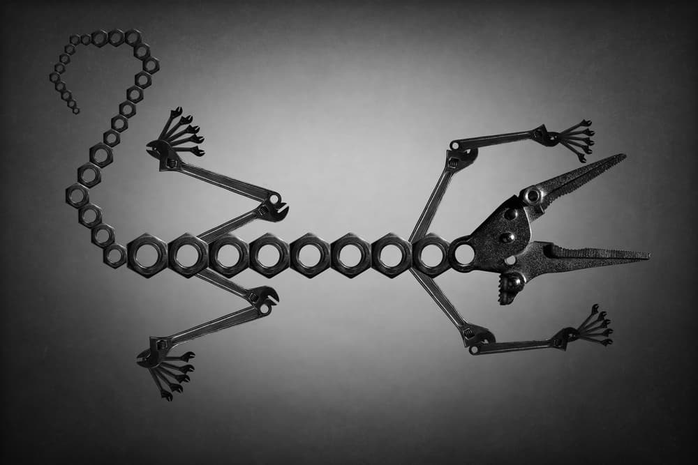 Metal Tool Lizard by Victoria Glinka — canvas wall art