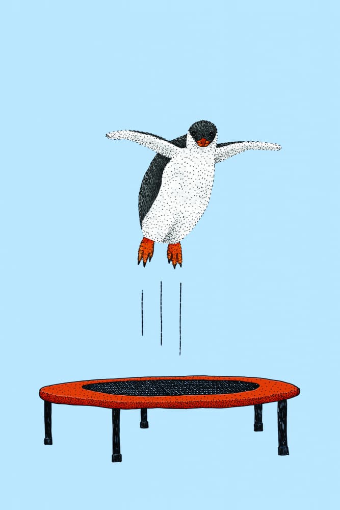 Happy Penguin Jump by Martina Scott — canvas wall art