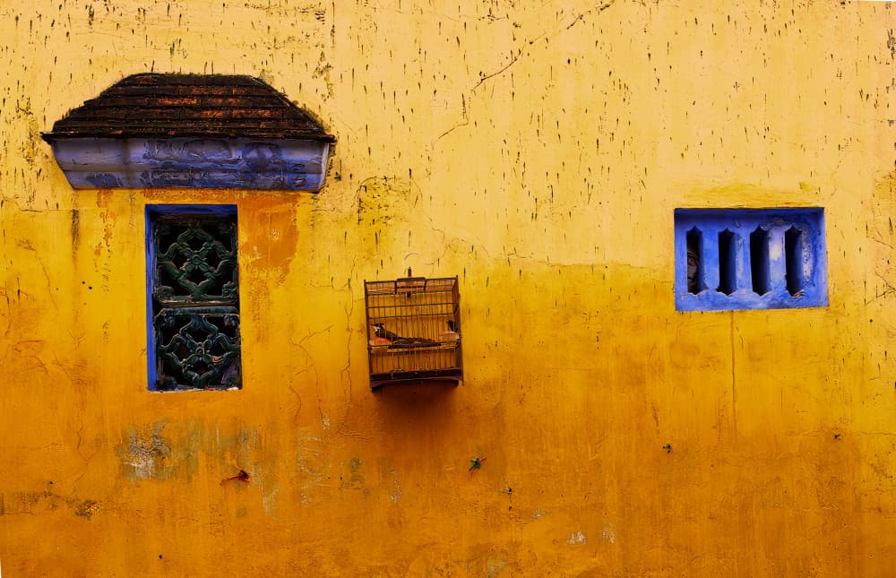 Rustic Wall Birdcage by Ugur Erkmen — canvas wall art