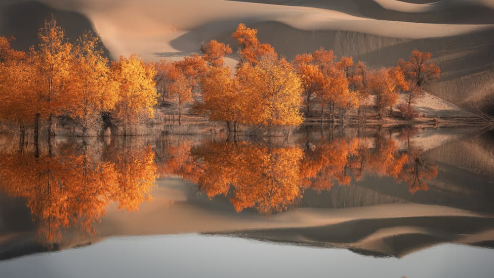 Golden Desert Reflection by tianhuayu — canvas wall art