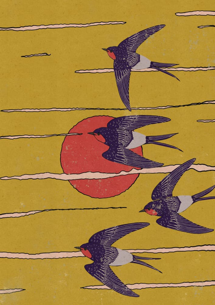 Flying Swallows Red Sun by Nicholas — canvas wall art