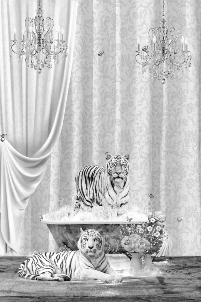 White Tigers Luxury Bath by Sue Skellern — canvas wall art