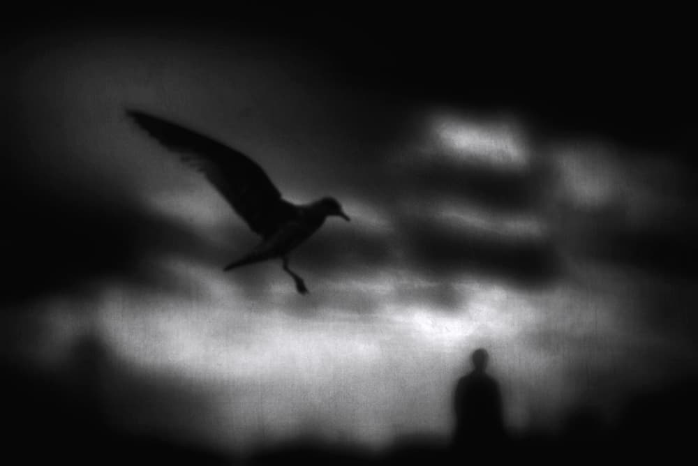 Ethereal Flight Dark Sky by Teruhiko Tsuchida — canvas wall art