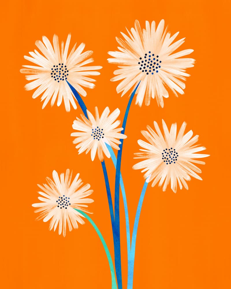 Moroccan Daisies 2 by Kristian Gallagher — canvas wall art