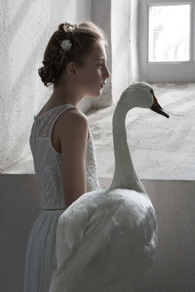 Dreamy Girl and Swan by Carine Belzon — canvas wall art
