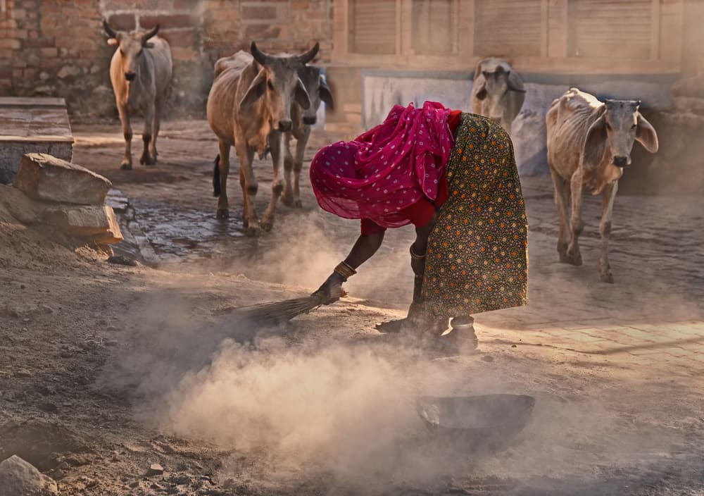 Village Dust and Cows by Lou Urlings — canvas wall art