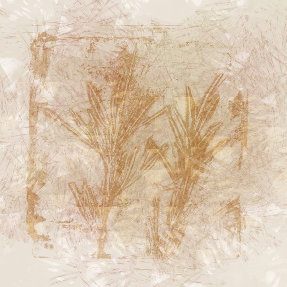 Rustic Botanical Sketch by Dina Dankers — canvas wall art