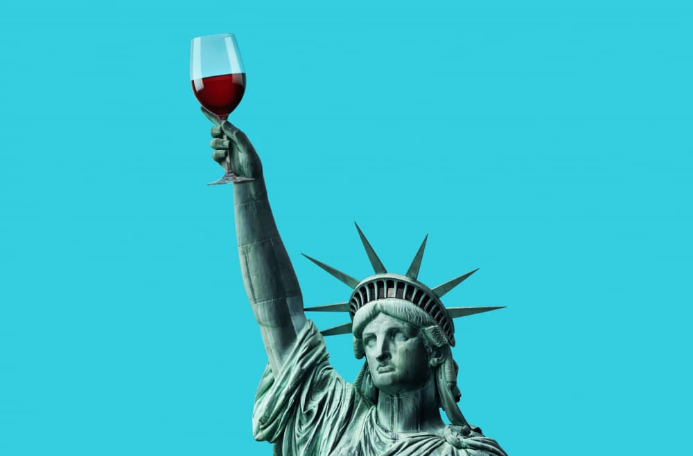 Lady Liberty's Toast by Artem Pozdniakov — canvas wall art