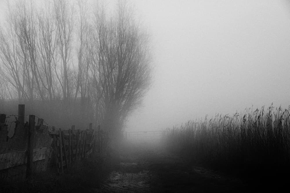 Misty Rural Path by Jacob Tuinenga — canvas wall art