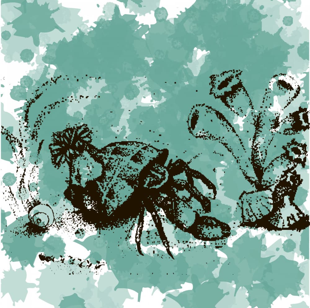 Inked Hermit Crab Underwater by Marika Barsrsind β canvas wall art
