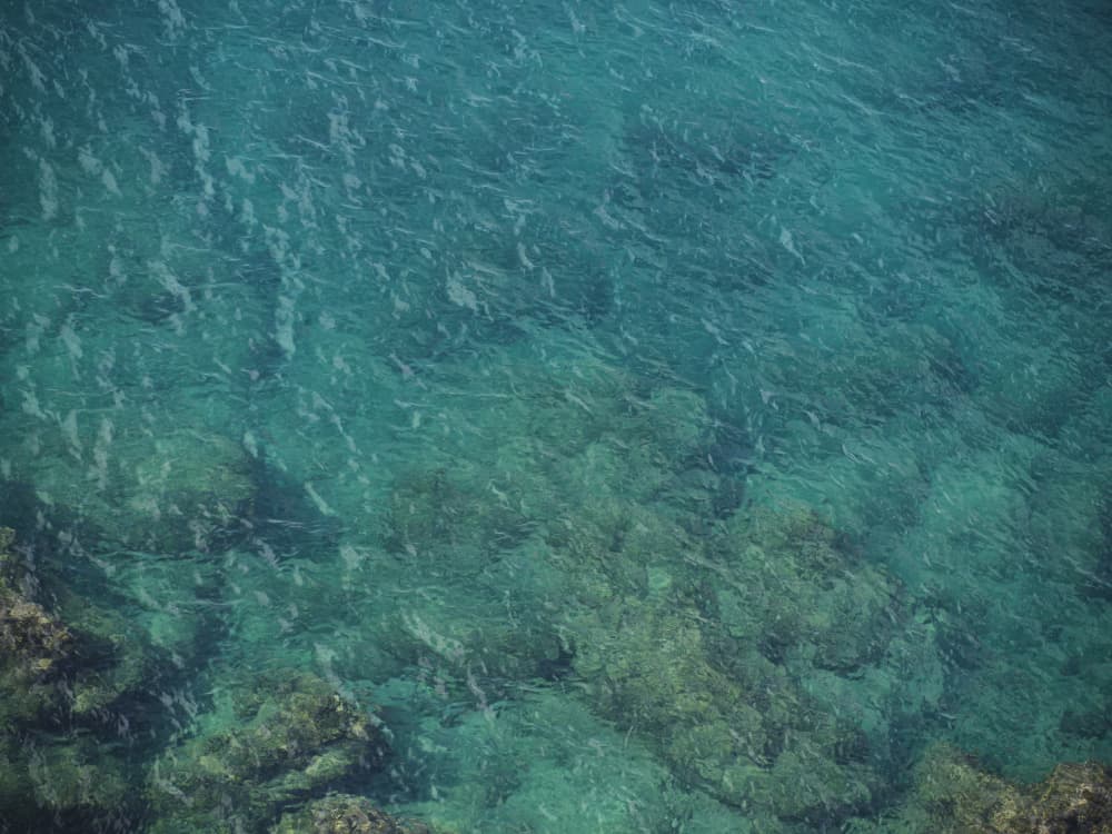 Clear Turquoise Ocean by engin akyurt — canvas wall art