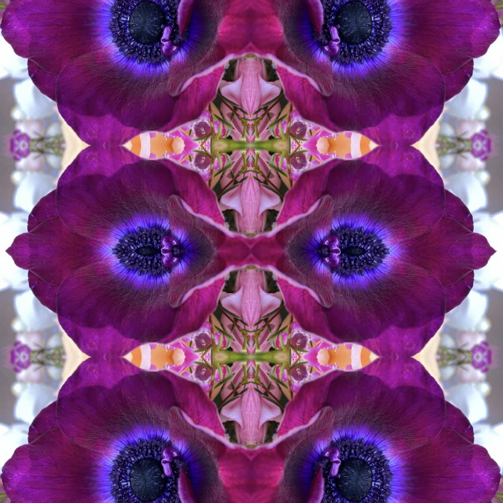 Purple Anemone Kaleidoscope by Patricia Pedraza Sanson — canvas wall art
