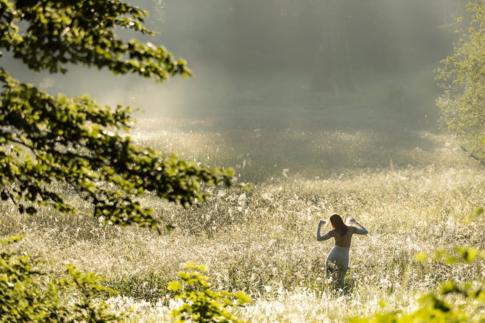 Dancing In Golden Mist by Leszek Paradowski — canvas wall art