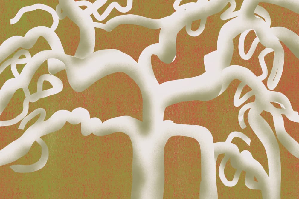Abstract Organic Branches by Little Dean — canvas wall art