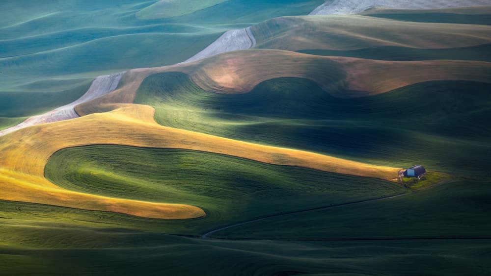 Serene Rolling Fields by Li Ying — canvas wall art