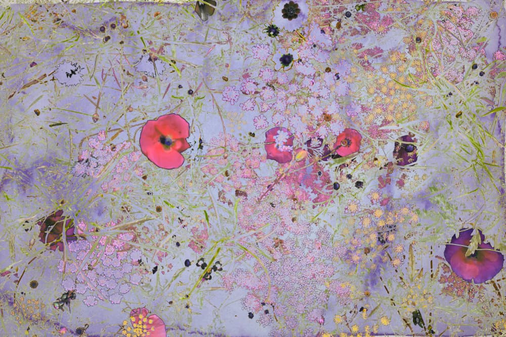 Delicate Floral Impressions by Miriam Stayte — canvas wall art