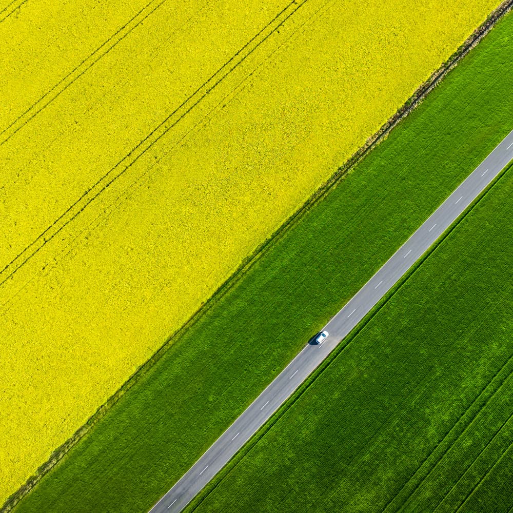 Vibrant Fields Road by Irene Wu — canvas wall art