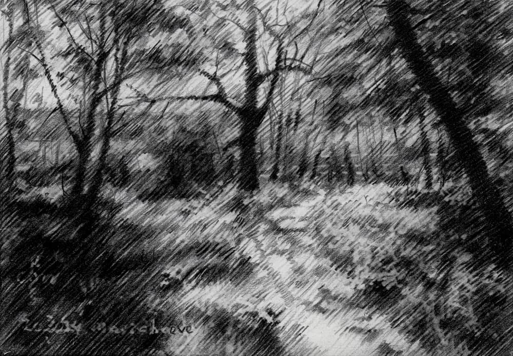 Shaded Forest Path by Corné Akkers — canvas wall art