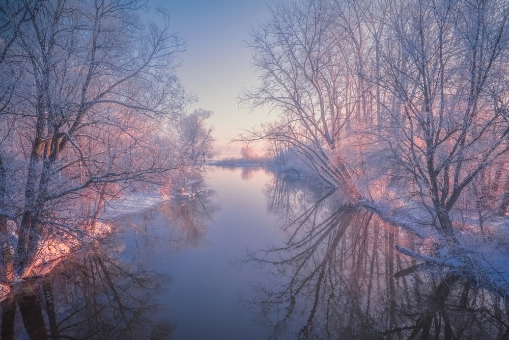 Serene Winter Reflections by Patrick Aurednik — canvas wall art